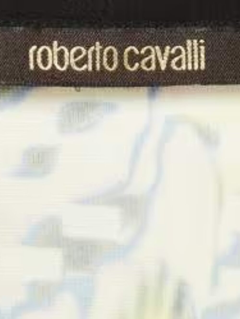 Roberto Cavalli Vintage sleevless dress - Picture 7 of 7